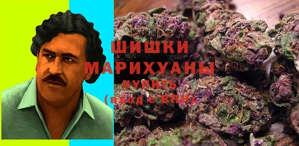 PSILOCYBIN Алзамай