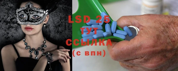 PSILOCYBIN Алзамай