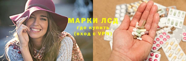 PSILOCYBIN Алзамай