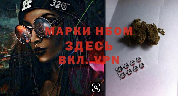PSILOCYBIN Алзамай