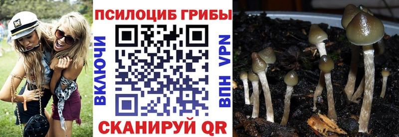 Псилоцибиновые грибы MAGIC MUSHROOMS  закладки  Нефтекамск 